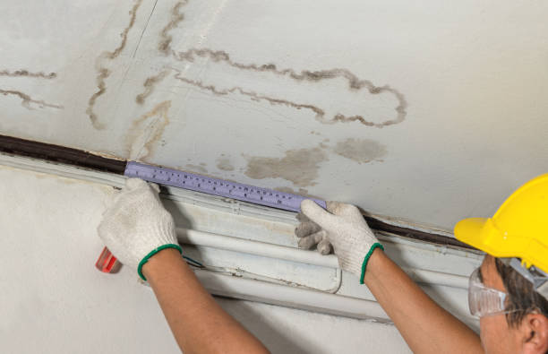 Reliable Burst Pipe Cleanup contractor in Pursglove, WV by Water Damage Irwin